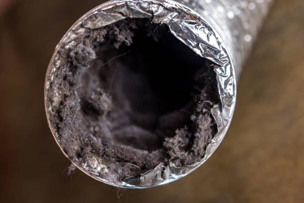 Best HVAC System Cleaning  in Arnold, MD