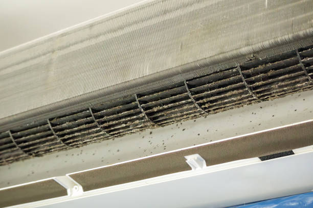 Best HVAC Air Duct Cleaning  in Arnold, MD